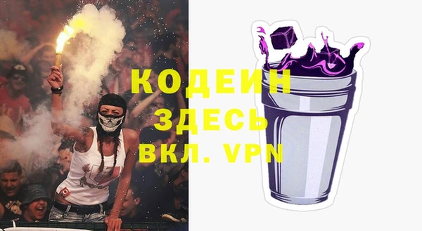 стаф Козельск