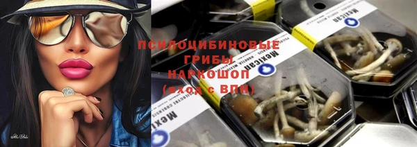 МДПВ Кодинск