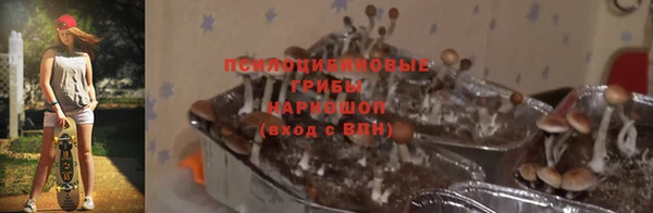 таблы Козловка