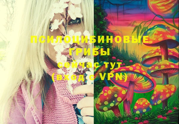 таблы Козловка