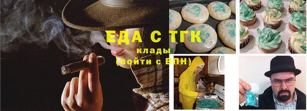 индика Касимов