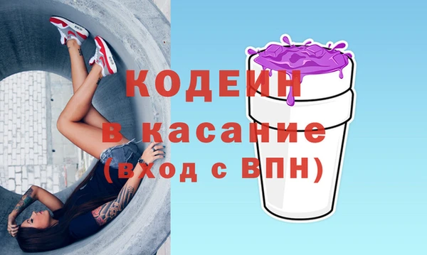 стаф Козельск